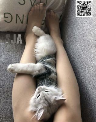 新昆仑短剧免费观看全集_720高清电影在线