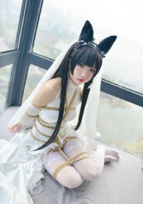 狙击手的战争完整版免费观看_在线观看免费版
