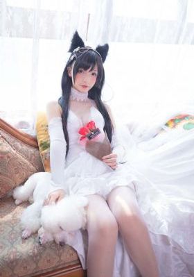 星星影视大全_免费观看完整版下载